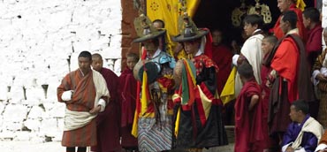 Image Here