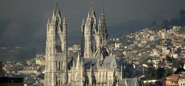 Image Here
