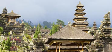 Image Here