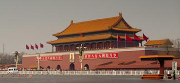 Image Here