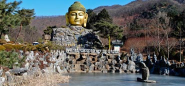 Image Here