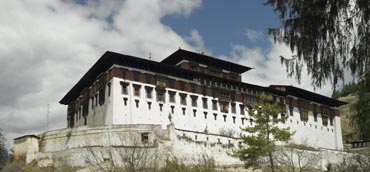 Image Here