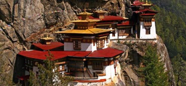 Image Here
