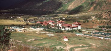 Image Here