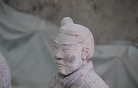 Image Here