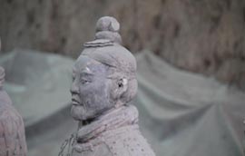 Image Here