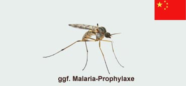 Image Here
