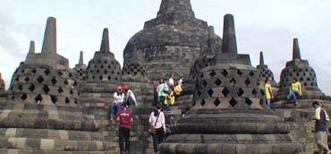 Image Here