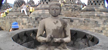 Image Here