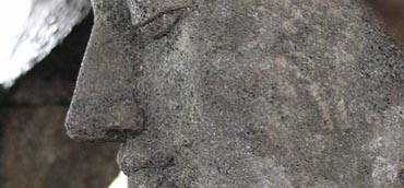 Image Here