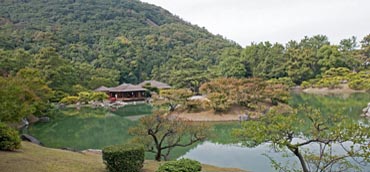 Image Here
