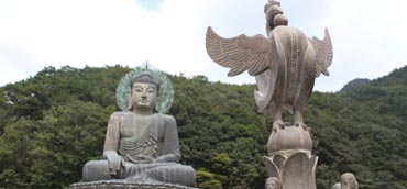 Image Here