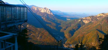 Image Here