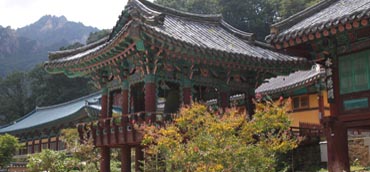 Image Here