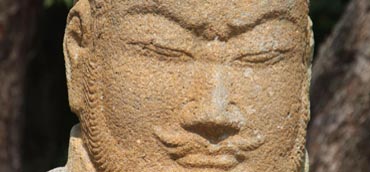 Image Here