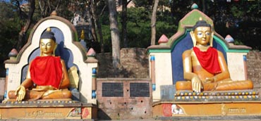 Image Here