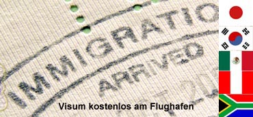 Image Here