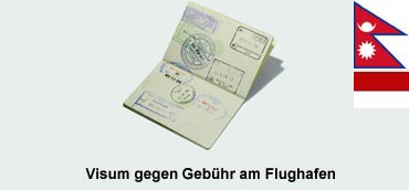 Image Here