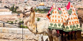 Israel