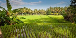 Indonesien