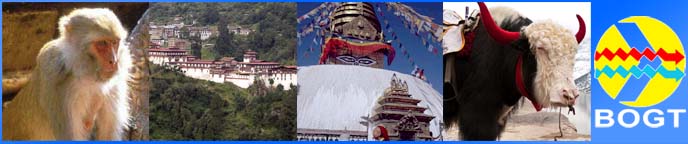 Die meisten Homosexuellen leben als Gay Bhutan bis heute ungeoutet und im Verborgen.