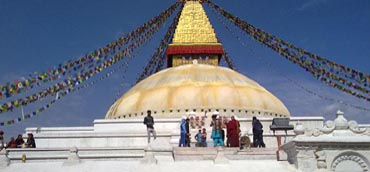 Image Here