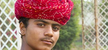 Image Here